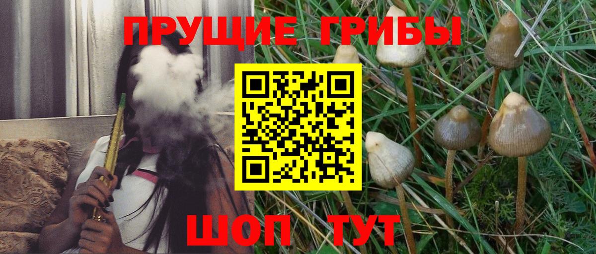 Псилоцибиновые грибы мухоморы Казань