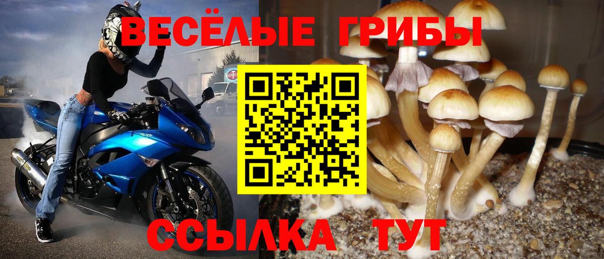 Казань  Галлюциногенные грибы Magic Shrooms  купить   Вход с VPN 